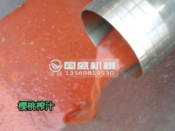 水果蔬菜螺旋壓榨機 水果蔬菜螺旋壓榨機